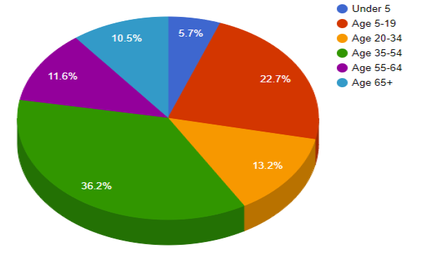 Age Demographics Chart Pic