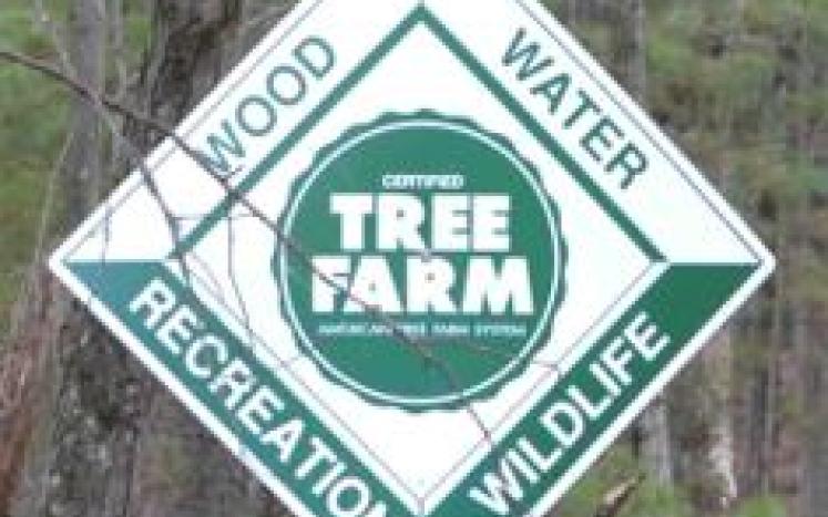 Forestry Committee Sign in woods