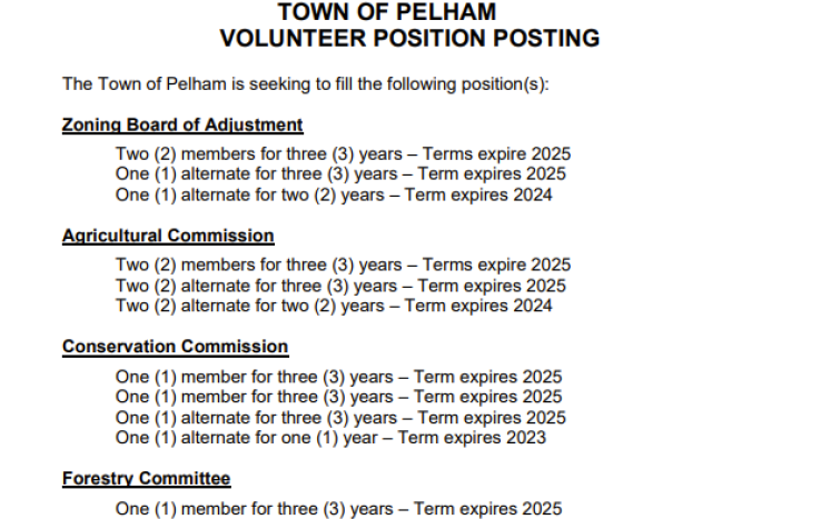 Multiple Volunteer Position Posting