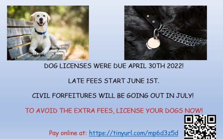 Dog License Notice